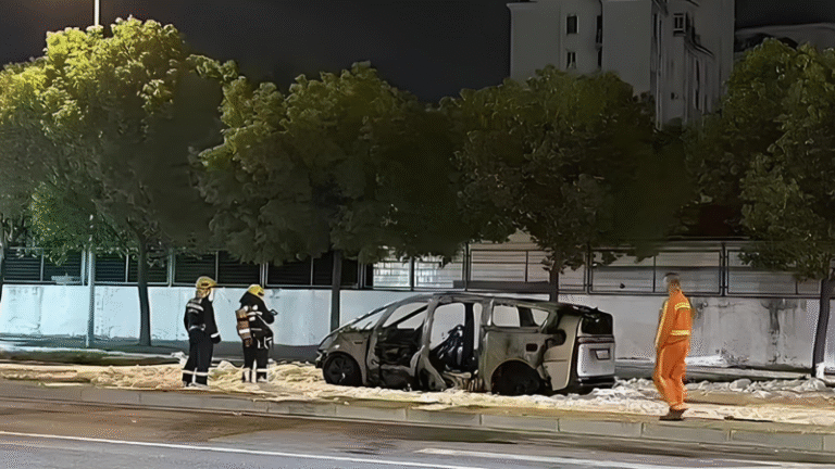 ev-battery-safety-recall-li-auto-mega